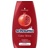 Schauma šampon 400 ml Color - na barvené vlasy